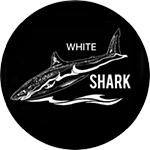 WhiteShark спортивная школа плавания